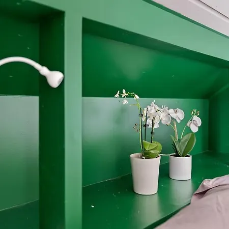 Arctic Panoramic Views *